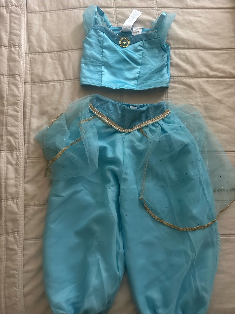 Pottery Barn Kids Disney Princess Jasmine Toddler Costume, 7-8Y - Picture 5 of 10